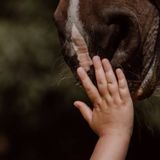Paardencoach met kinderen